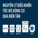 Hiểu rõ nguyên lý điều khiển tốc độ động cơ bằng biến tần – Tối ưu hiệu suất & tiết kiệm năng lượng