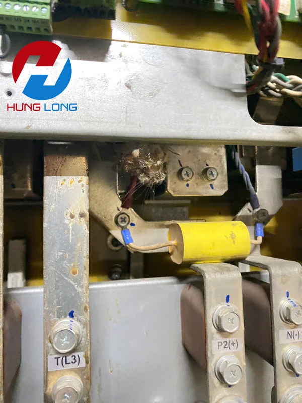 Biến tần LS bị nổ công suất do chuột vào
