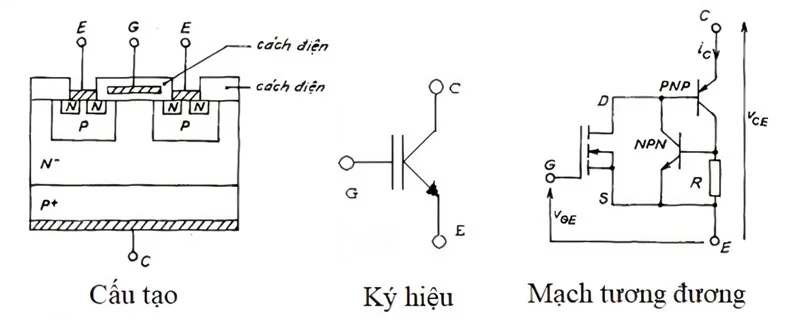 So-do-cau-tao-igbt-la-gi