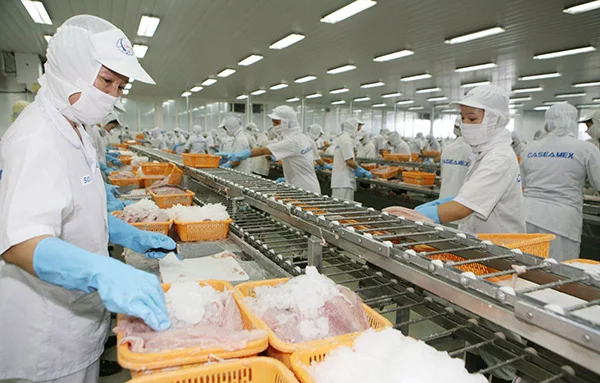 Dây truyền đóng gói hải sản sử dụng biến tần HLAuto cung cấp